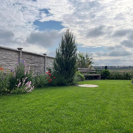 Villa Rose Close To Vienna & Airport Maria Ellend 외부 사진
