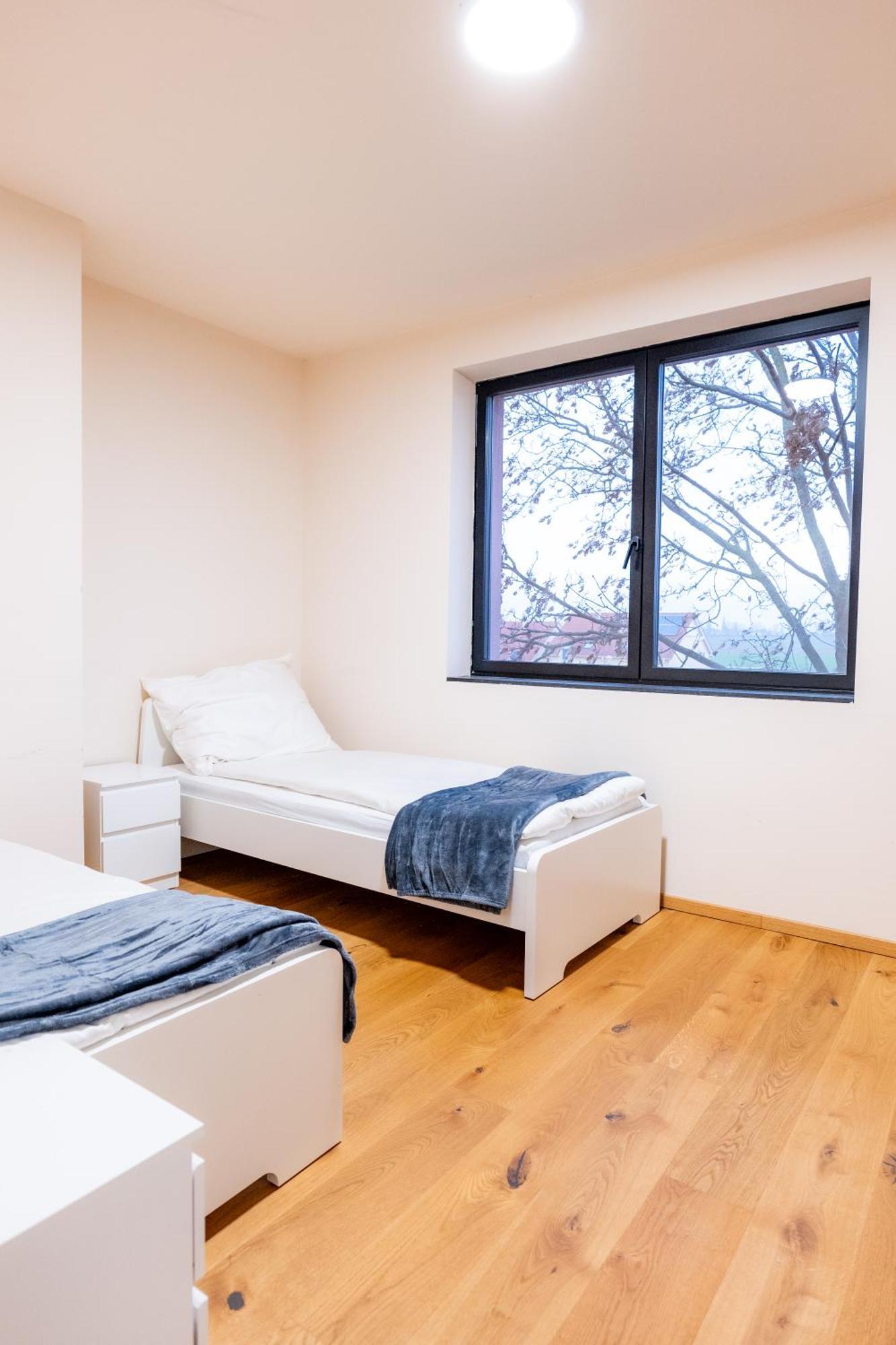Villa Rose Close To Vienna & Airport Maria Ellend 외부 사진